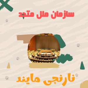 پاورپوینت سازمان ملل متحد | 13 اسلاید کامل
