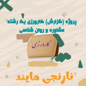 پاورپوینت پروژه کارورزی 1 | رشته مشاوره و روان شناسی