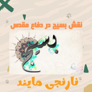 مقاله نقش بسیج در دفاع مقدس | 20 صفحه بصورت word