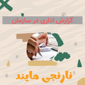 مقاله گزارش اداری در سازمان | 13 صفحه فایل ورد و قابل ویرایش