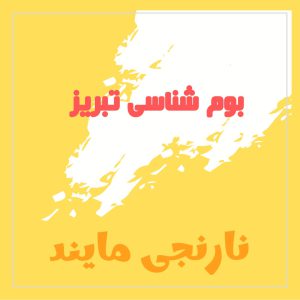 پاورپوینت بوم شناسی تبریز | 44 اسلاید جامع و کامل