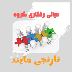 پاورپوینت مبانی رفتاری گروه
