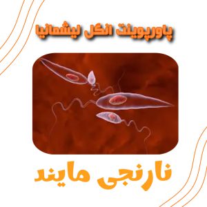 انگل لیشمانیا | 19 اسلاید فایل پاورپوینت جامع