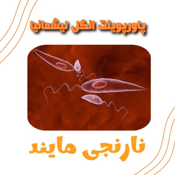 انگل لیشمانیا | 19 اسلاید فایل پاورپوینت جامع