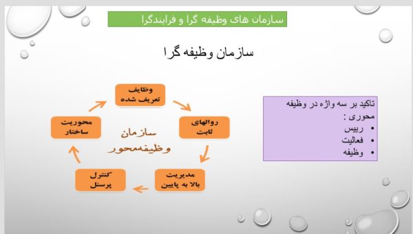 سازمان وظیفه گرا و فرایندگرا